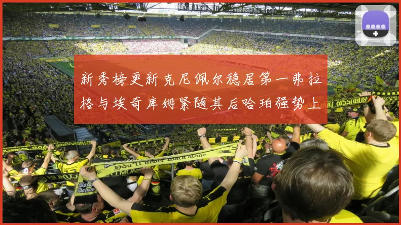 新秀榜更新克尼佩尔稳居第一弗拉格与埃奇库姆紧随其后哈珀强势上升至第四位